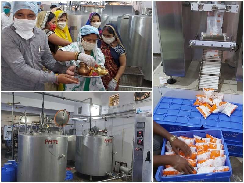 बुंदेलखंड दुग्ध संघ महाराष्ट्र को रोज़ भेजता है 50 हजार लीटर दूध