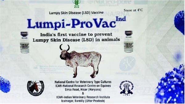 हरियाणा : हिसार के राष्ट्रीय अश्व अनुसंधान केंद्र के वैज्ञानिकों ने खोजा टीका, एक साल में हुआ तैयार