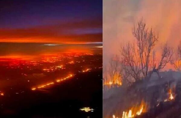 US: टेक्सास में भीषण आग से 10 लाख एकड़ भू भाग प्रभावित, सैकड़ों जानवर और घर जले