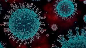मप्र में 682 नये मामलों के साथ संक्रमितों की संख्या 21,763 हुई, अब तक 706 लोगों की मौत