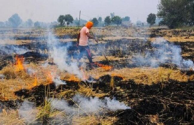 पंचकूला में तीन किसानों पर पराली जलाने का केस दर्ज
