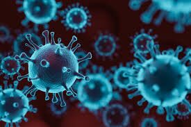 मप्र में कोरोना के 191 नये मामलों के साथ संक्रमितों की संख्या 14,297 हुई