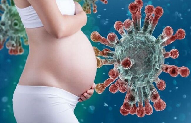 कोरोना वायरस के दौरान गर्भवती महिलाओं को सलाह