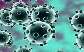 मप्र में 431 नये मामलों के साथ संक्रमितों की संख्या 17,632 हुई, अब तक 653 लोगों की मौत